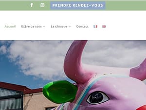 site Internet vétérinaire